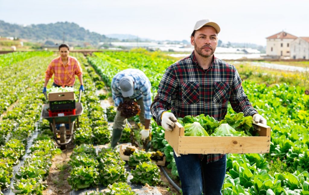 Lavoratori agricoli